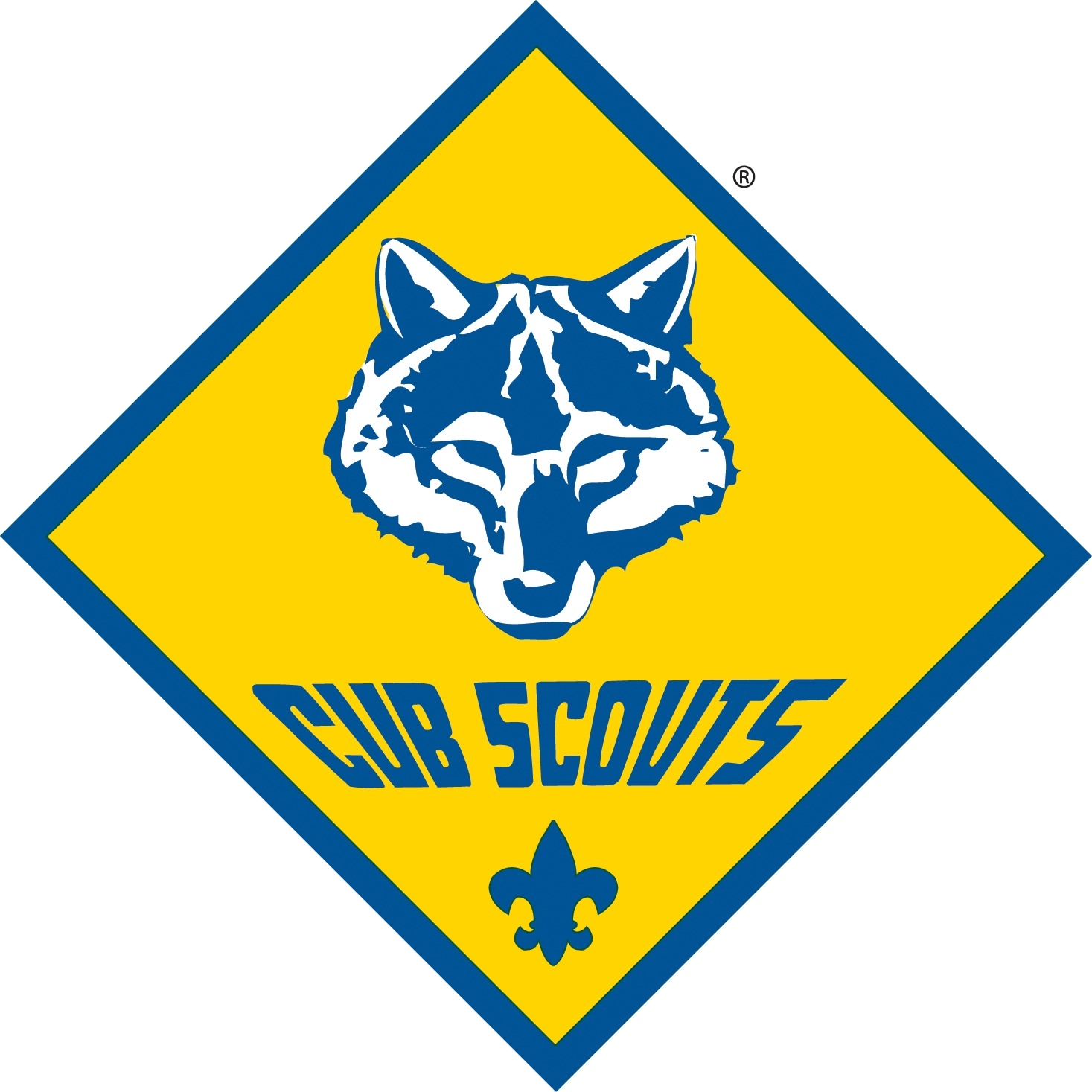 University of Scouting 2008 course GS016 "Rounding Them Up"