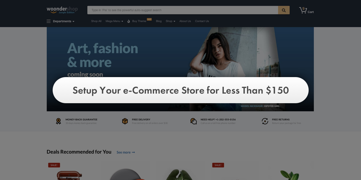 Setup your store for less than 150 ProteusThemes