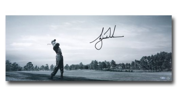 Golf ProThrowbacks 1 Sports, Collectible, and Golf Store