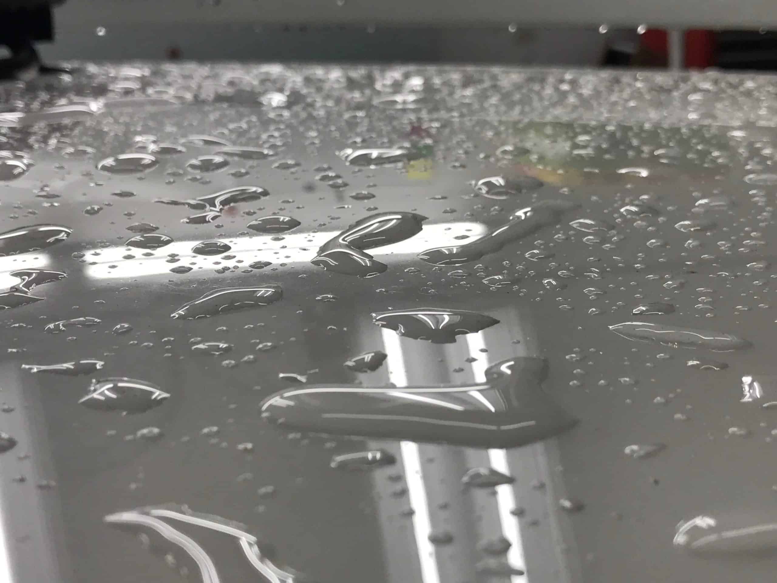 Ceramic Coating & Paint Correction In Salt Lake Pro Tint