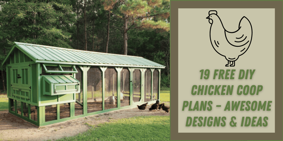 Chicken House Plans For 20 Chickens