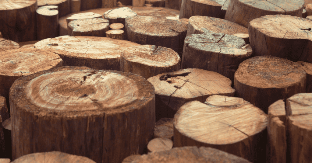 6 Best Wood for Outdoor Furniturd Complete Guide!