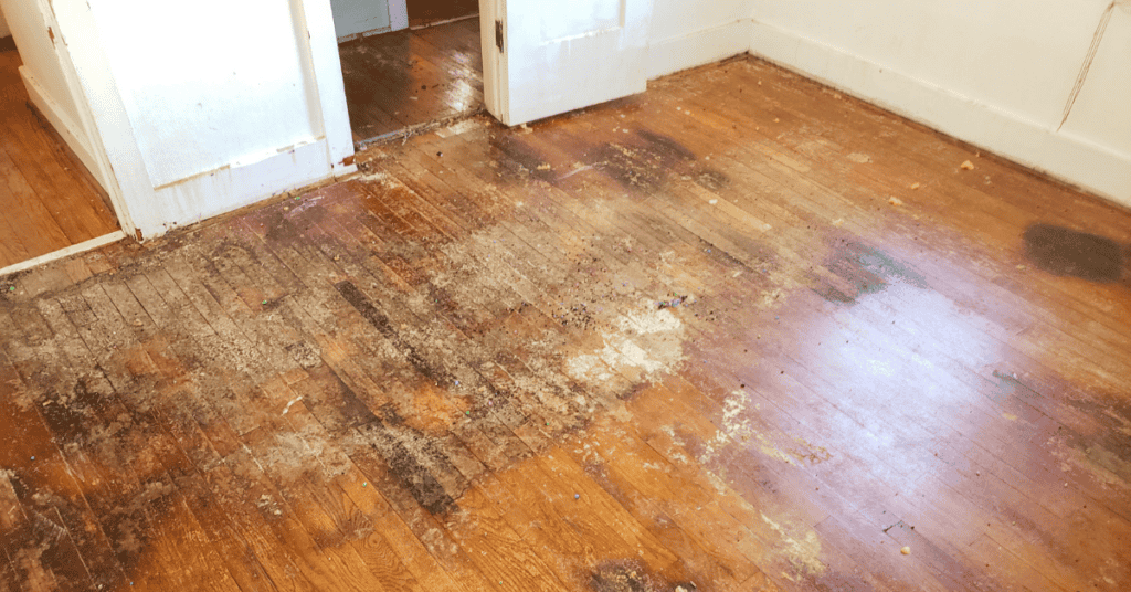 How to Fix Scratches on Wood Floor?