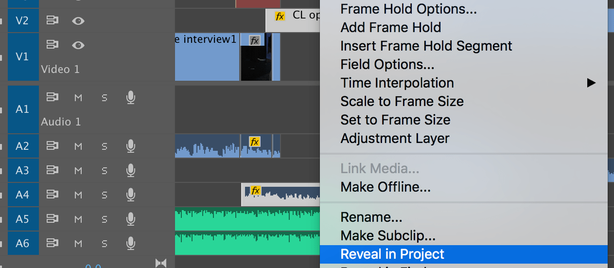 Search Bins Premiere Pros best kept organizational secret by Jeff