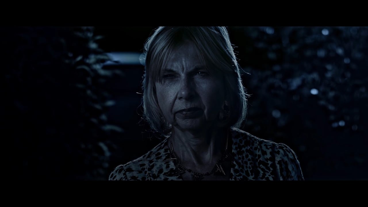 Free masterclass Shooting day for night by Moviola Staff ProVideo