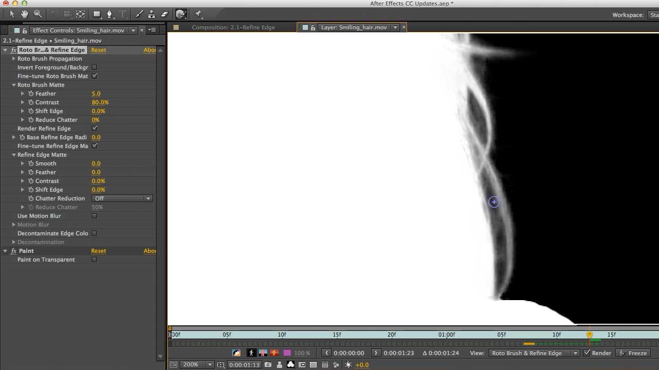 After Effects Classic Course Refine Edge Tool by Chris and Trish Meyer
