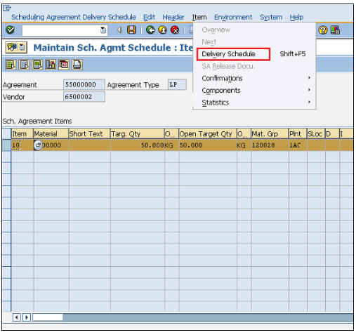 Blake's SAP MM Details 1120 Document