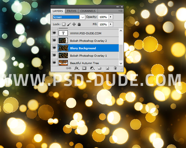 How to Add Bokeh Effect in Tutorial PSDDude