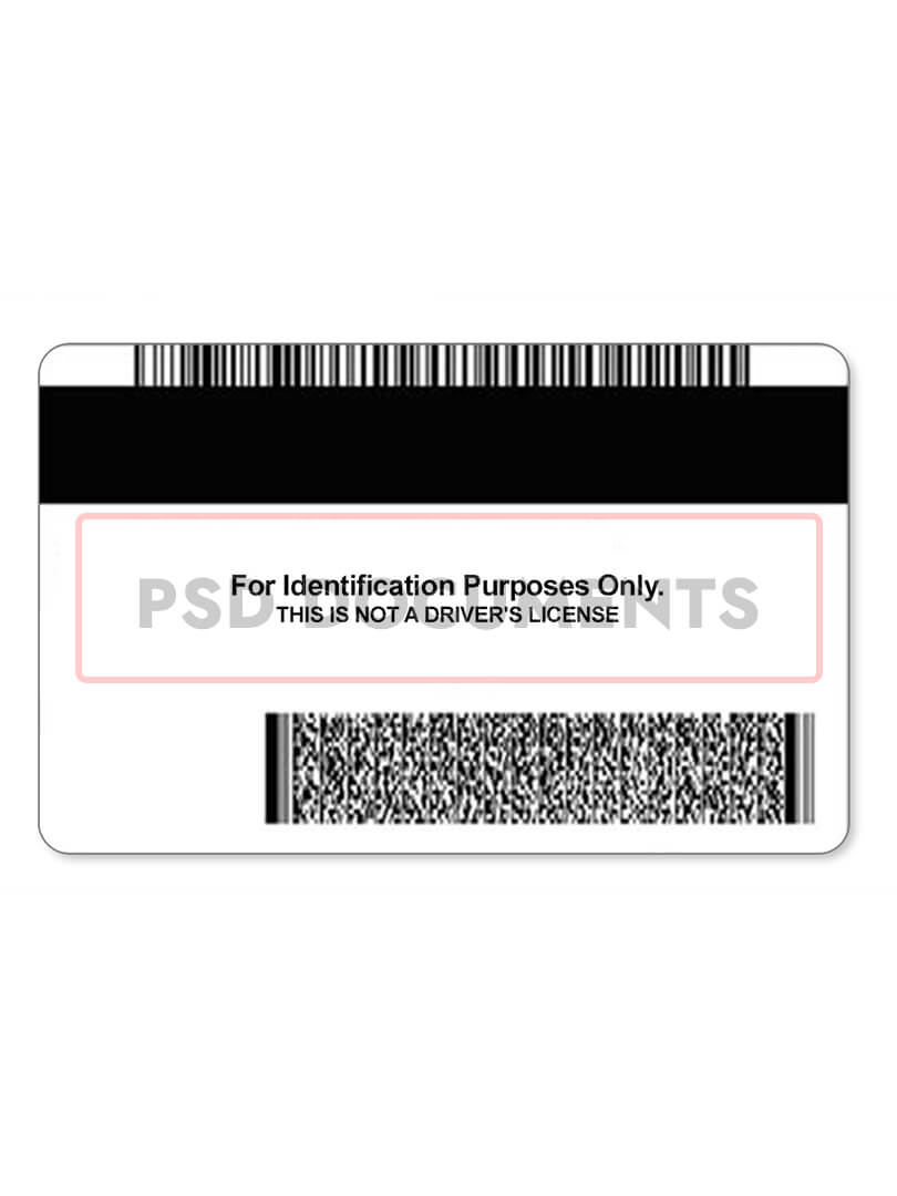 Minnesota Identification PSD Card Template PSD Documents