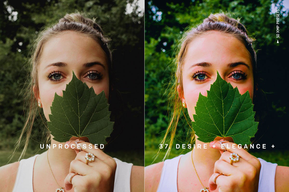 DESIRE XMP PRESETS 4192887.