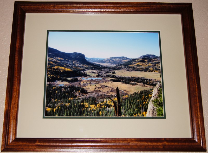 Custom Wood Framed Landscape Photos