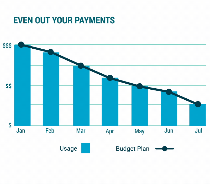 PSE Budget Payment Plan