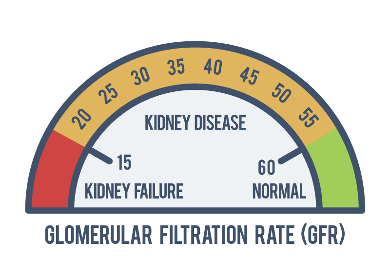 Kidney Disease GFR Calculator Puget Sound Kidney Centers