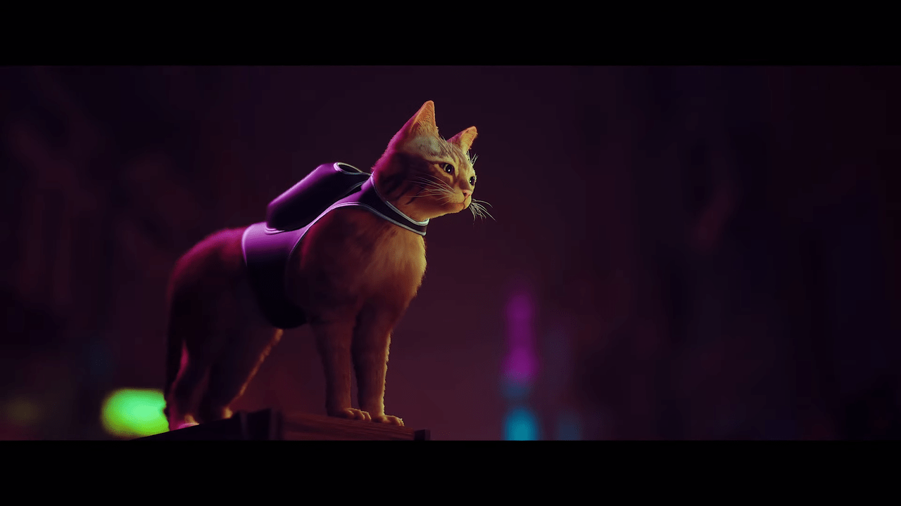 Annapurna Announce Stray For The PS5, Coming Next Year PlayStation