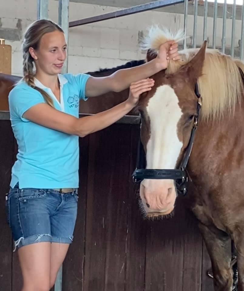 Aktuelles PSV Schäferhof Nidda e.V.