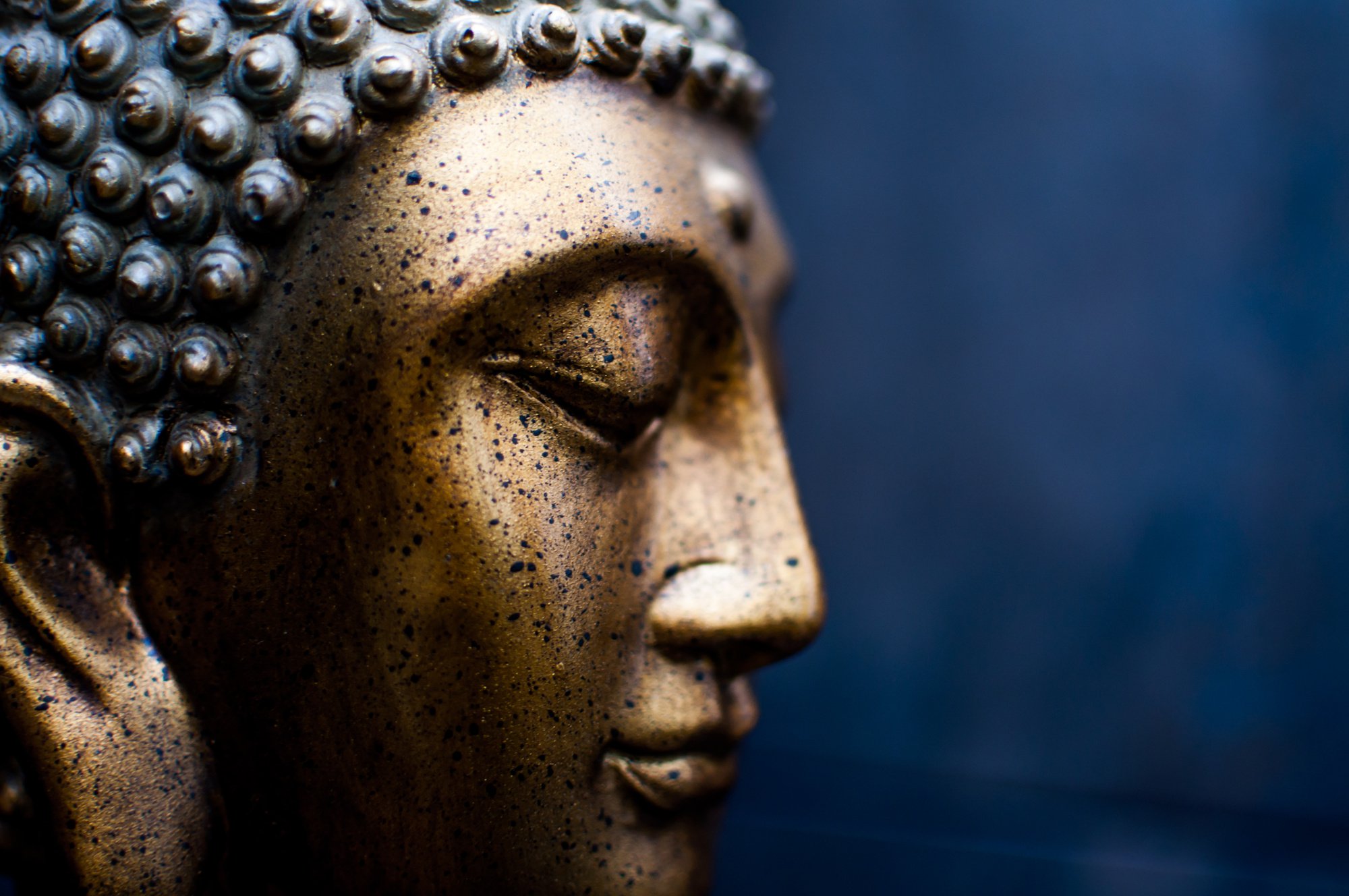 Buddhism 101 Buddhism Basics for the Blossoming Beginner