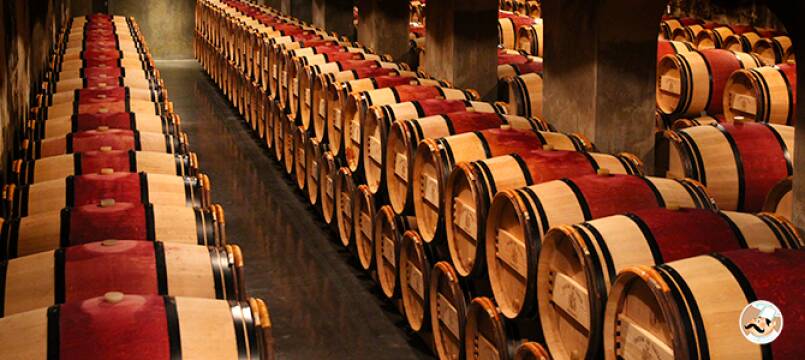 Les 9 étapes de fabrication du vin