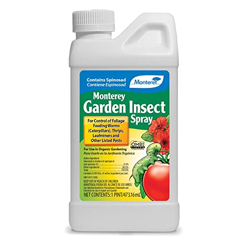 Best Insecticide For Vegetable Garden Home Depot (2024 Update) Pubbelly