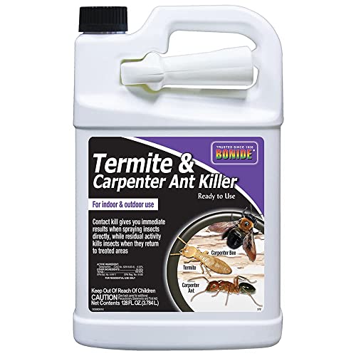 Best Termite Killer Home Depot (2024 Update) Pubbelly