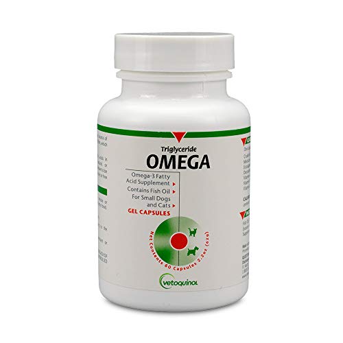 Best Omega 3 For Dogs With Itchy Skin (2024 Update) Pubbelly
