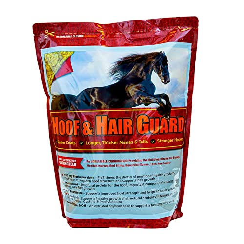 Best Supplement For Horse Hair Growth (2024 Update) Pubbelly