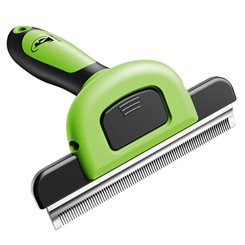 Best Deshedder For Short Hair Dogs (2024 Update) Pubbelly