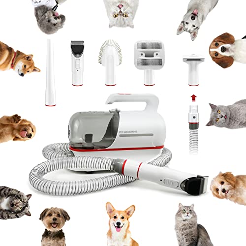 Best Vacuum For Golden Retriever Hair (2024 Update) Pubbelly
