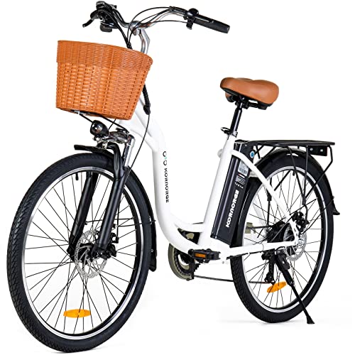 Best Bang For Your Buck Electric Bike (2024 Update) Pubbelly