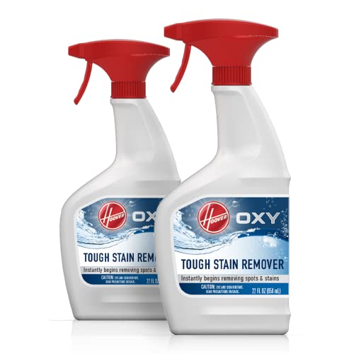 Best Carpet Cleaner For Tough Stains (2024 Update) Pubbelly