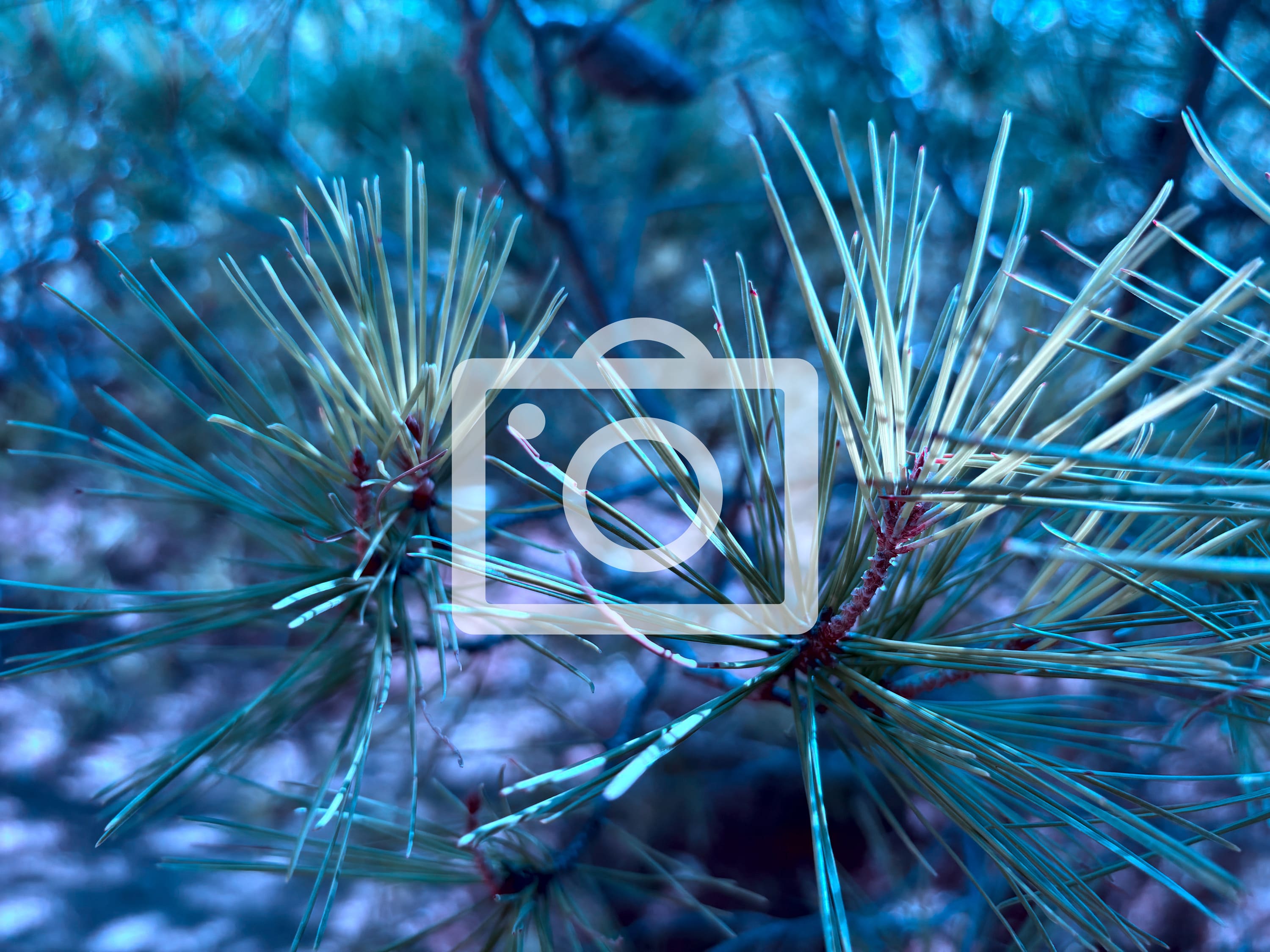 Menores "Mi papá me viola" Público