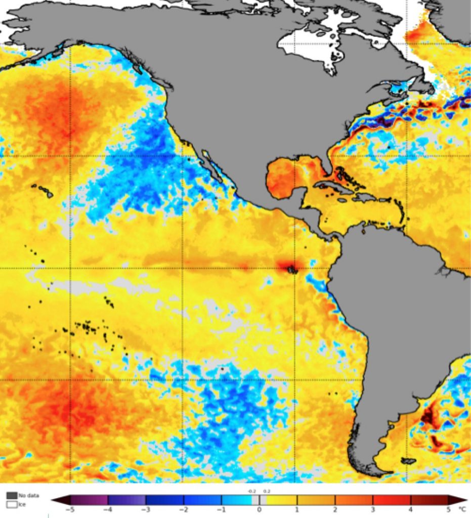 Warmwater 'blobs' significantly diminish salmon, other fish