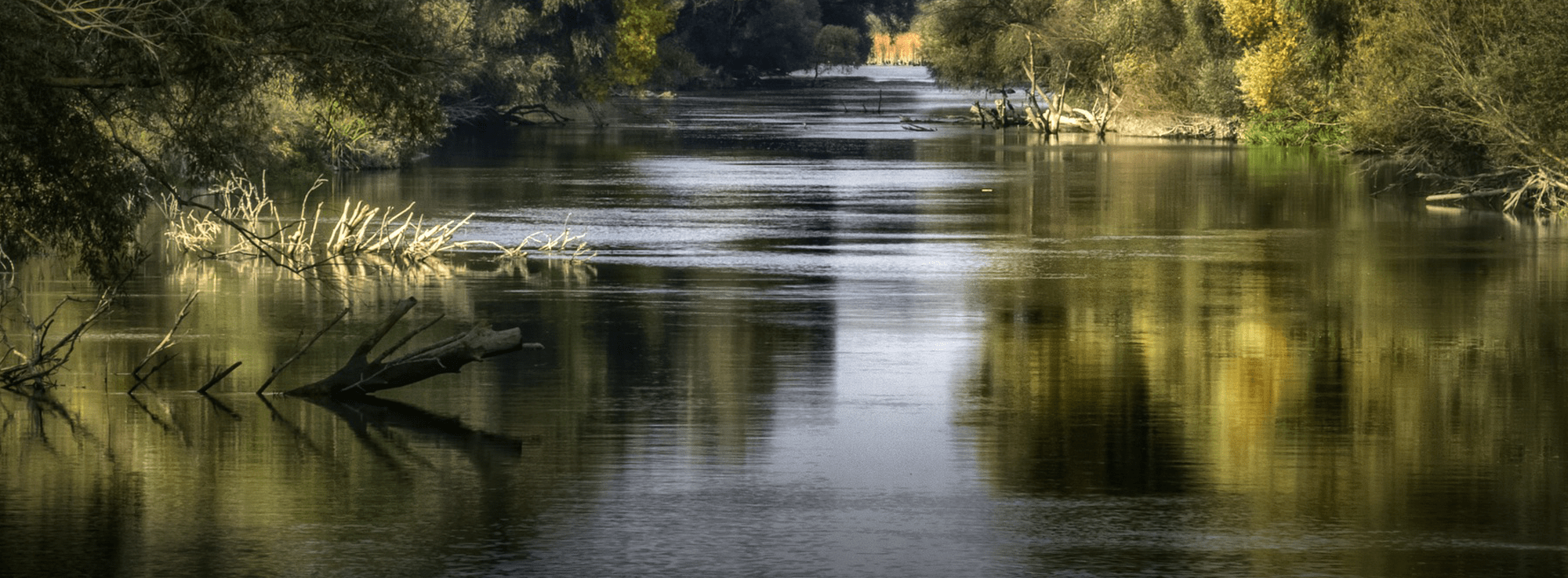 Lago Capacciotti, uno dei più importanti siti fluviali della Puglia