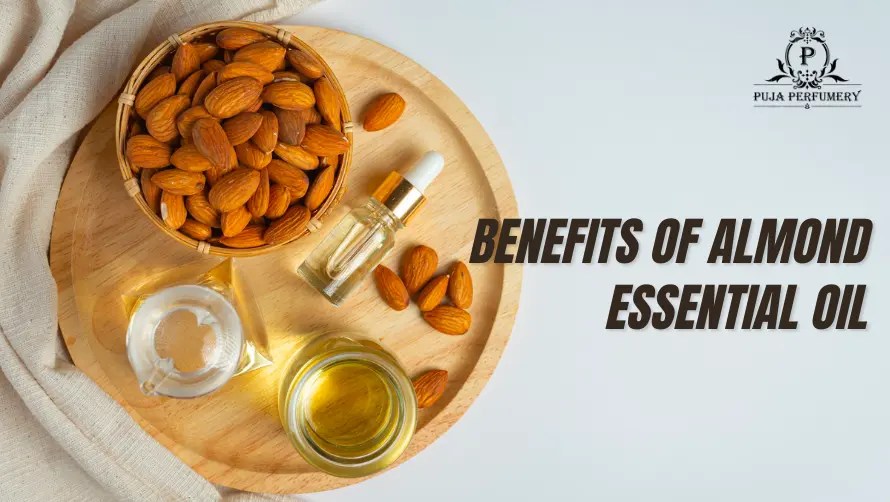 Benefits of Almond Essential Oil Buy Pure Essential Oils