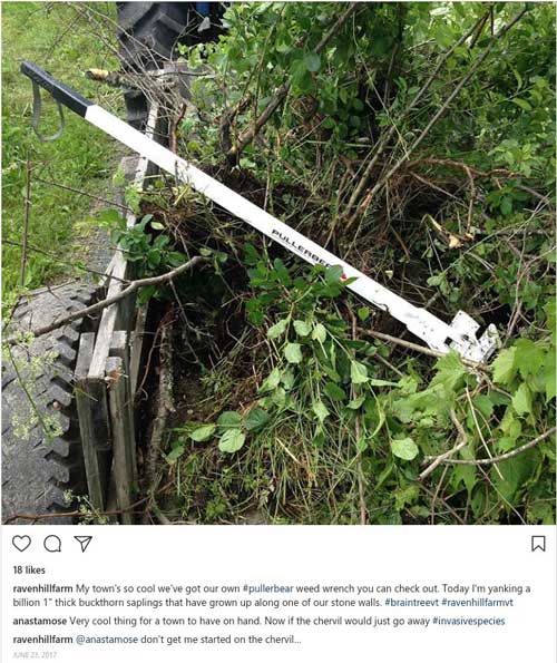 Pullerbear Tree Puller Reviews