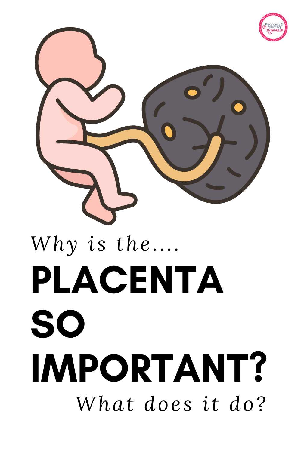 Placenta Power 7 facts about this amazing organ!