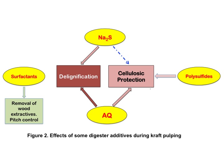 The role of sulfidity during kraft pulping Pulp and Paper CanadaPulp