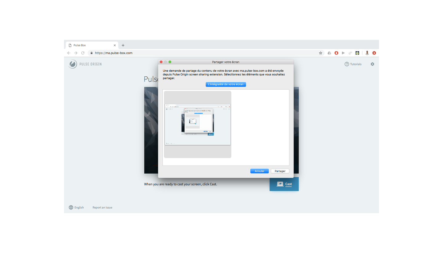 Chrome_04e Pulse Origin