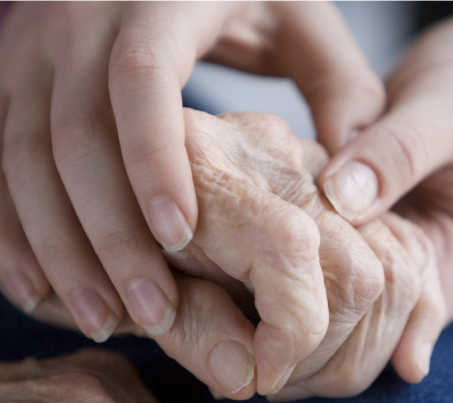 Study links Parkinson's disease to gut bacteria