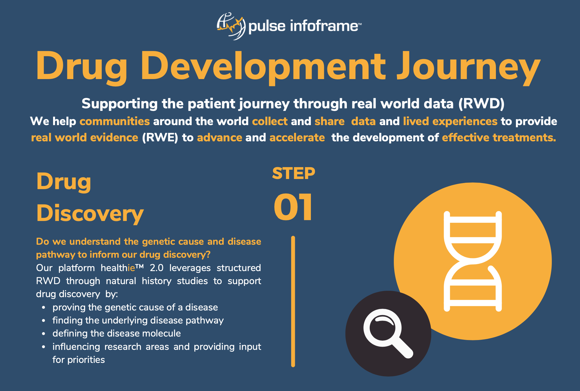 Drug Development Journey Pulse Infoframe Inc.