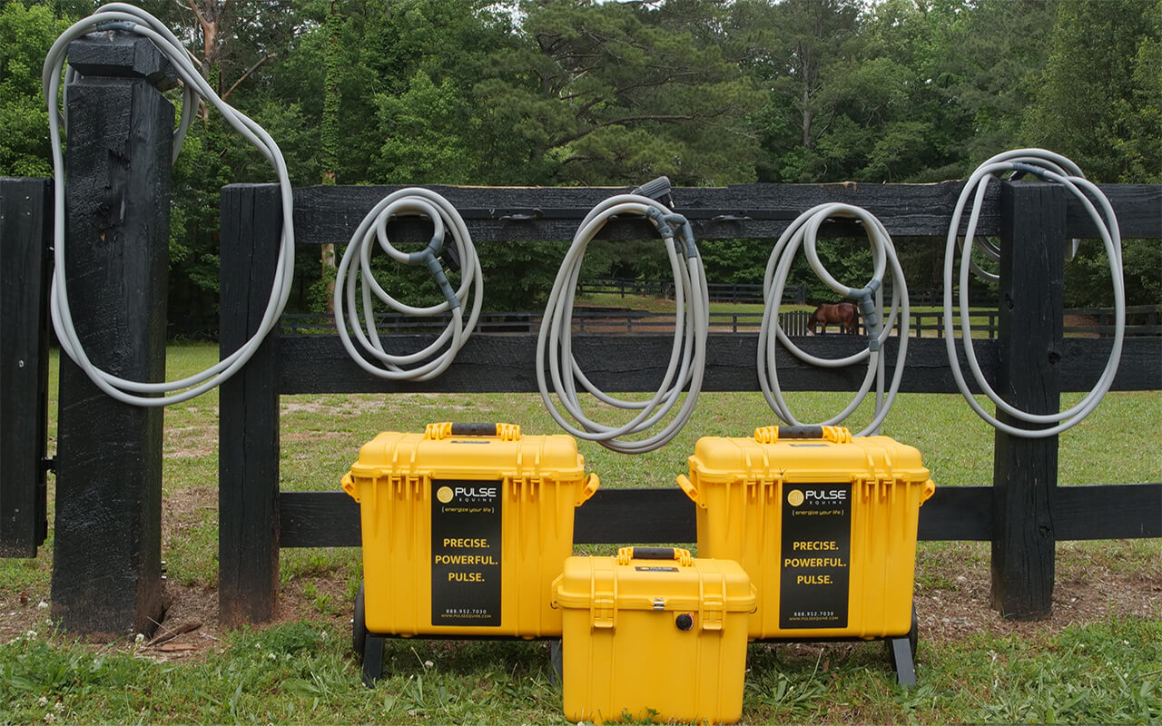 Choosing The Best Pulse PEMF Accessory For Pets