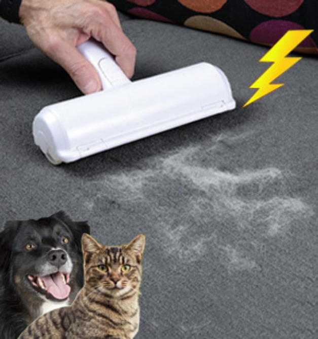 Reusable Pet Hair Remover by Pets at Play (Like ChomChom) PulseTV