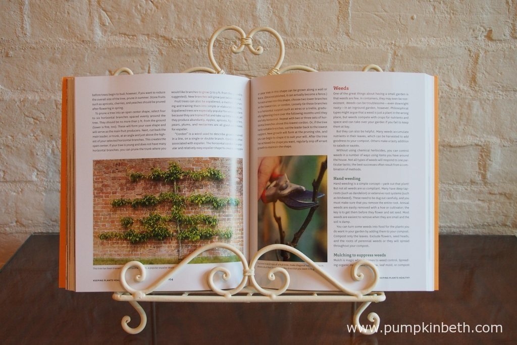 SmallSpace Vegetable Gardens by Andrea Bellamy