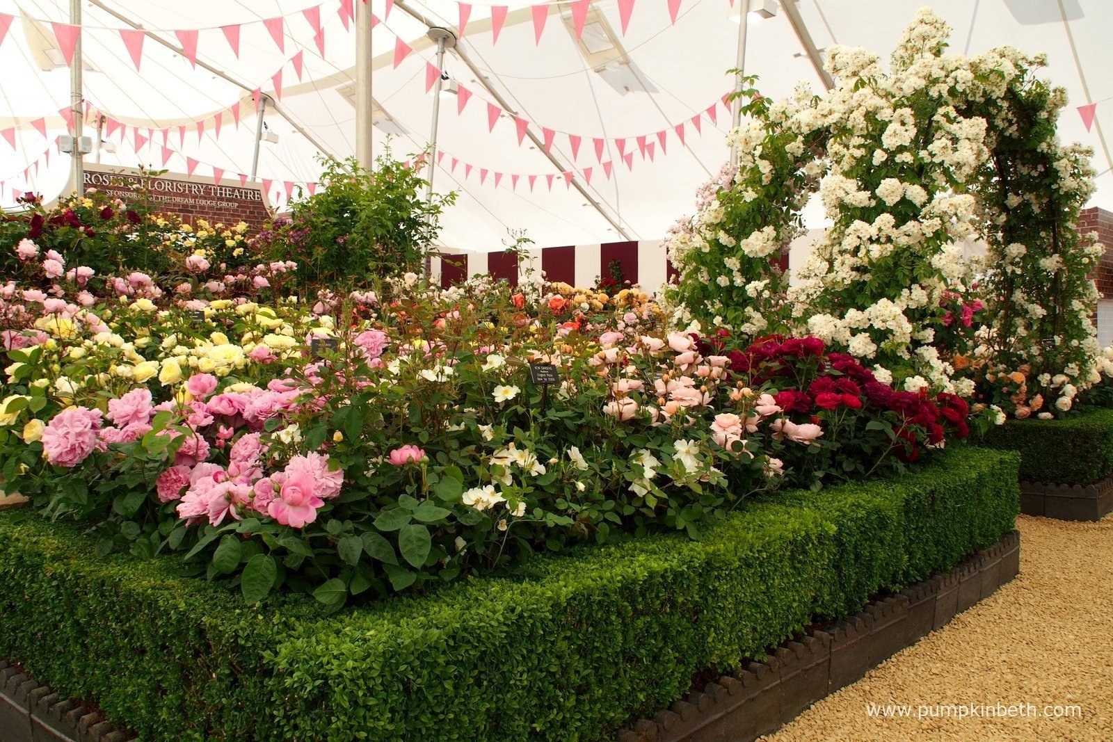 RHS Hampton Court Palace Flower Show 2015 Pumpkin Beth