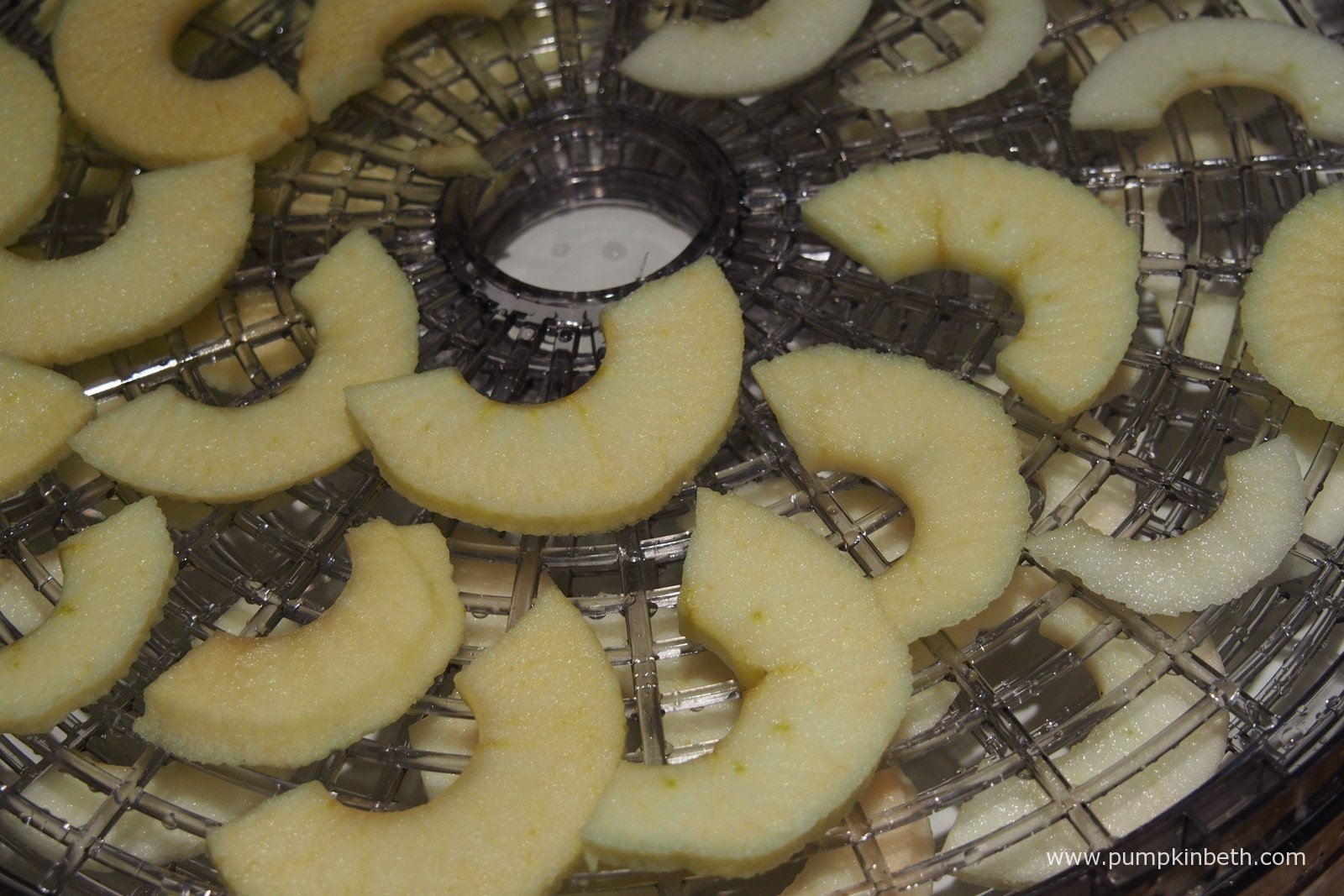 Lakeland My Kitchen Food Dehydrator Review Pumpkin Beth