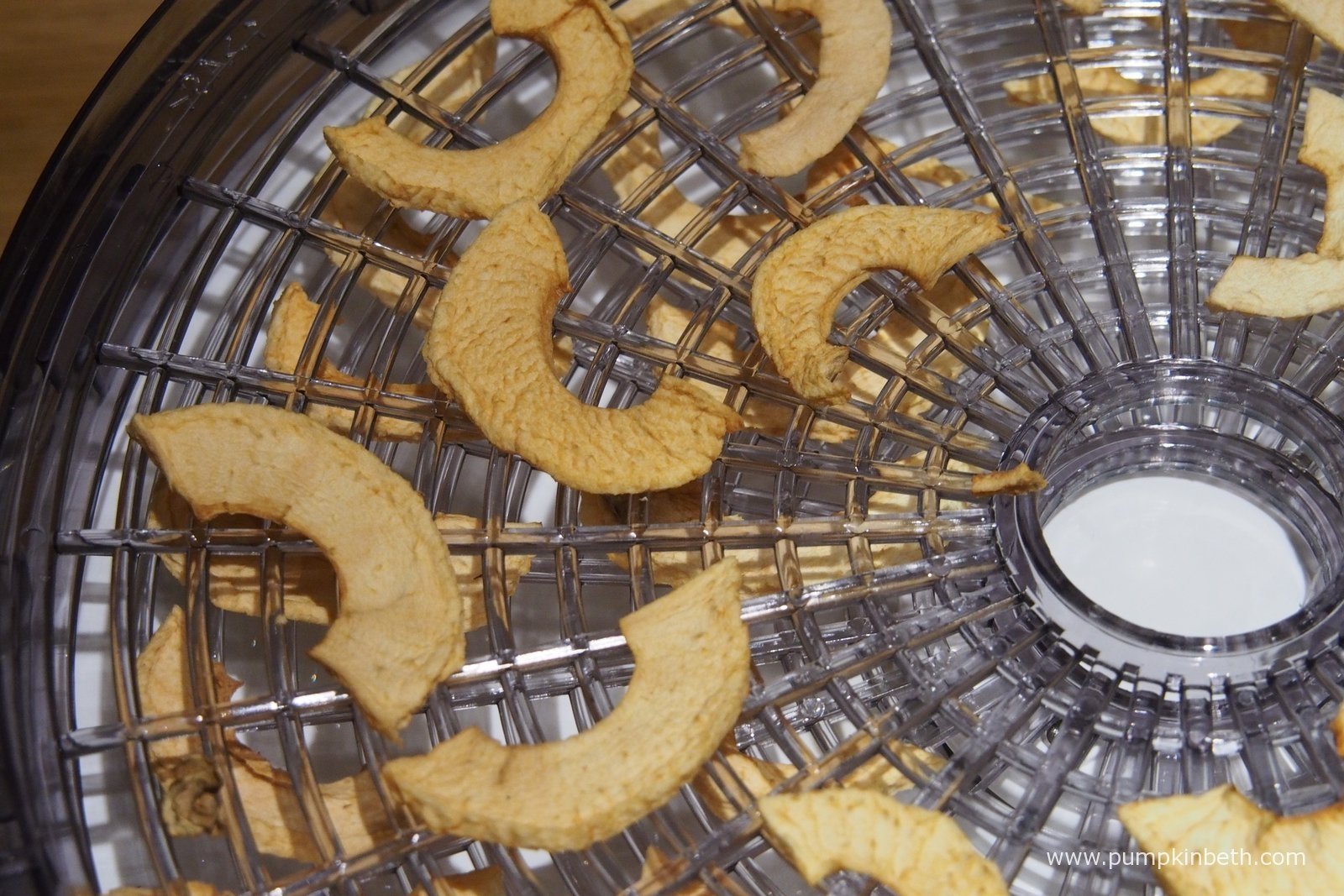 Lakeland My Kitchen Food Dehydrator Review Pumpkin Beth