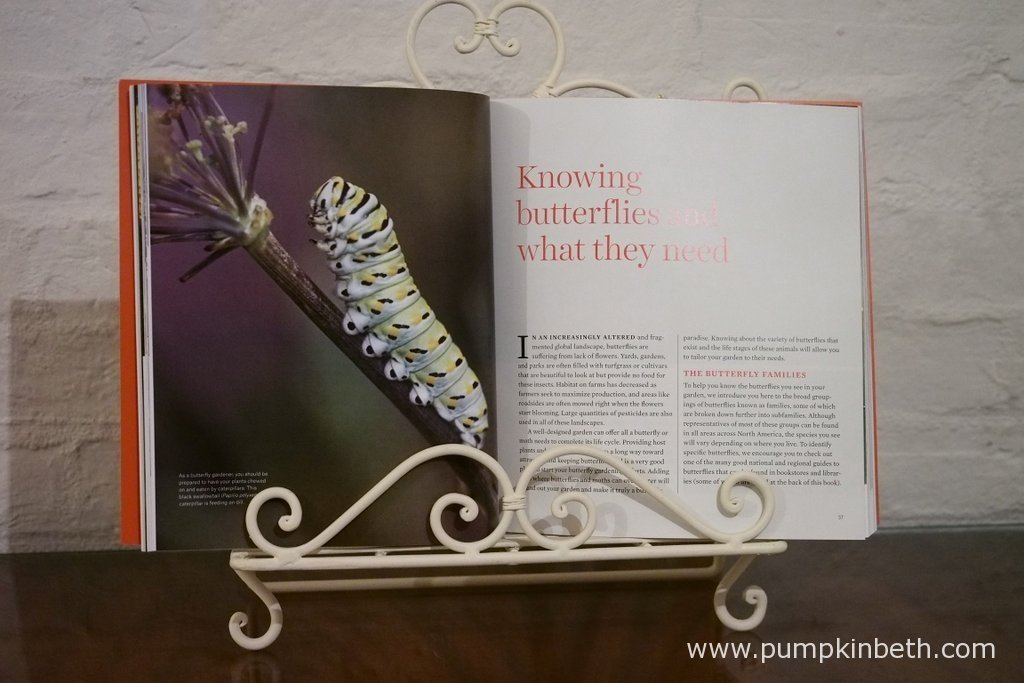 Book Review Gardening for Butterflies Pumpkin Beth