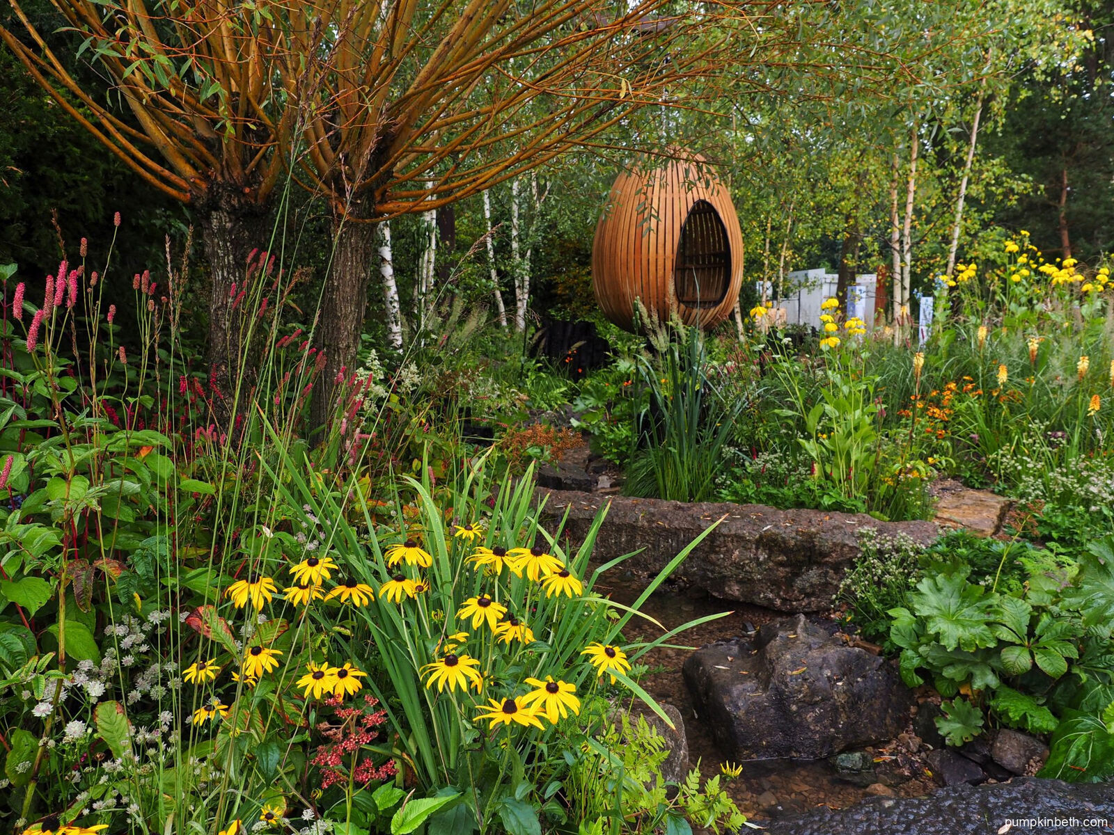 RHS Chelsea Flower Show 2021 (part two) Pumpkin Beth