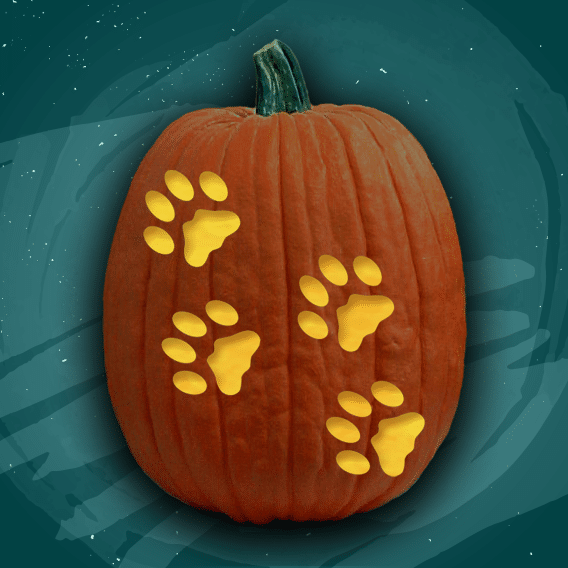 Paw Prints 1,000 Free Pumpkin Carving Patterns No Ads, Just Fun! 🎃👻