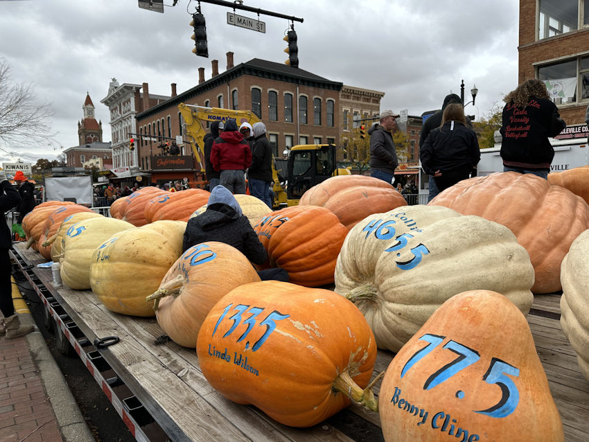 The Official Circleville Pumpkin Show site 2022 Largest Pumpkins