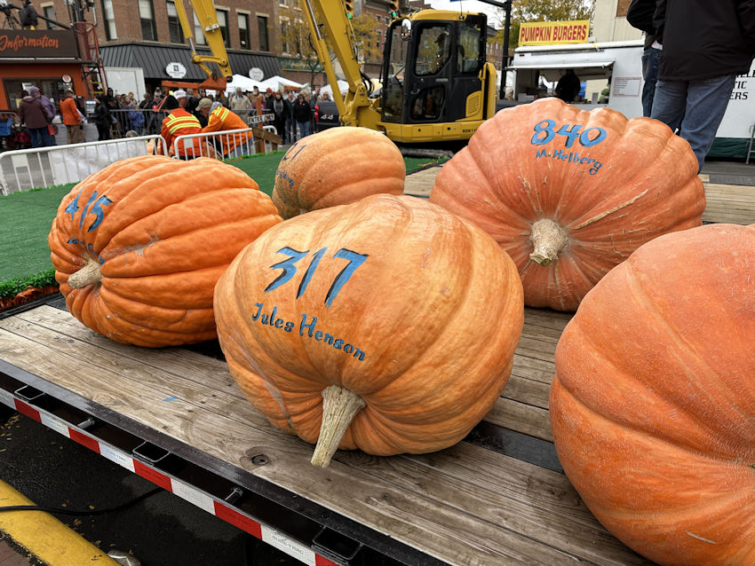 The Official Circleville Pumpkin Show site 2022 Largest Pumpkins